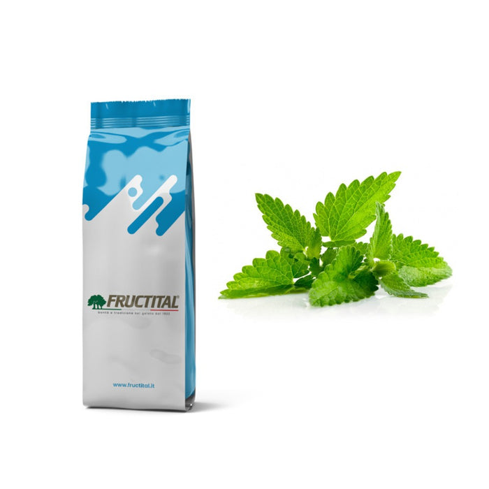 Sachet Fructital Granita Menthe, conditionnement 1,25 kg.