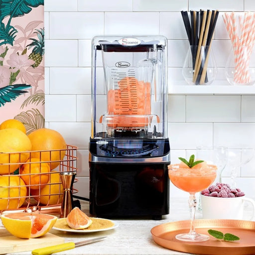 Santos Brushless Expert 62 – seconde vue du blender professionnel