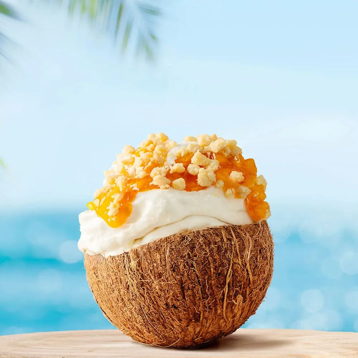CrumbOlé® Cocco Gluten Free (Noix de coco) - PREGEL