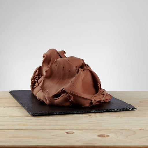 Glace saveur chocolat posée, texture crémeuse et couleur cacao.
