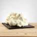 Glace saveur yaourt grec posée, texture compacte et brillante.
