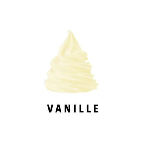 Mix à glace à l'Italienne - 2x 4.5kg - Parfum VANILLE BIO