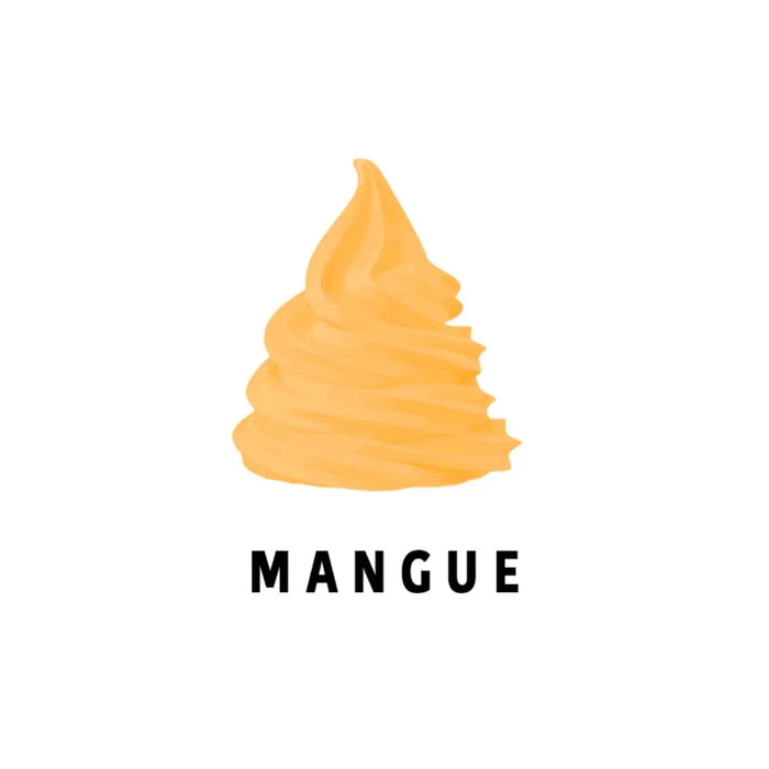 Mix à glace à l'Italienne - 2x 4.5kg - Parfum MANGUE Premium