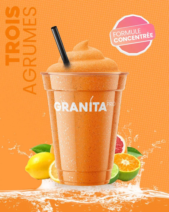 Concentré granita 3 AGRUMES - Granita Pro - 3×2 L