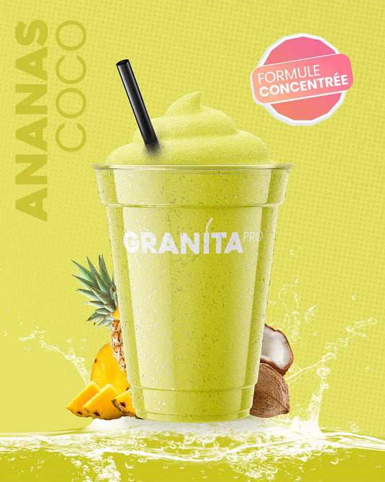 Concentré granita ANANAS COCO - Granita Pro - 3×2 L