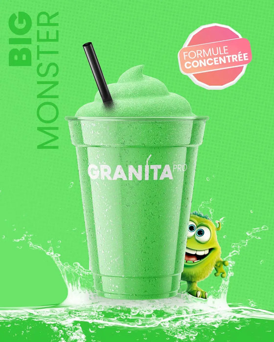 Concentré granita BIG MONSTER - Granita Pro - 3×2 L