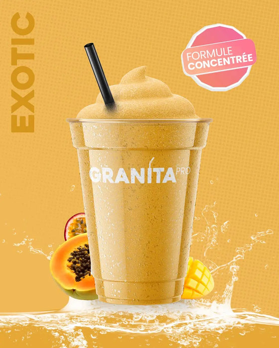 Concentré granita EXOTIC - Granita Pro - 3×2 L