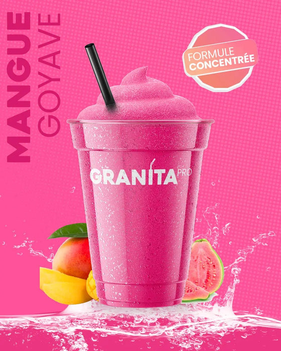 Concentré granita MANGUE GOYAVE - Granita Pro - 3×2 L
