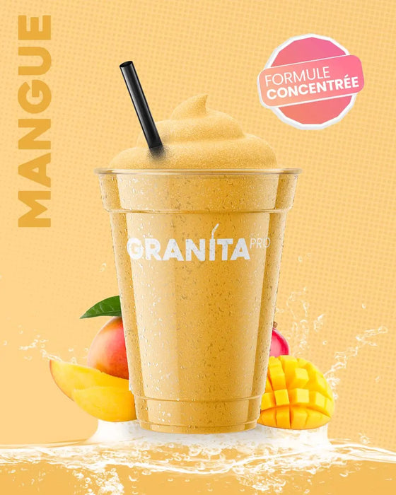 Concentré granita MANGUE - Granita Pro - 3×2 L