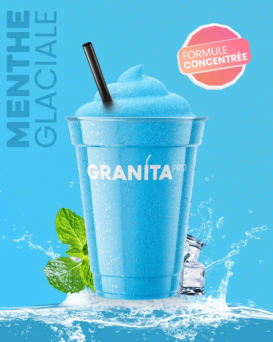 Concentré granita MENTHE GLACIALE - Granita Pro - 3×2 L