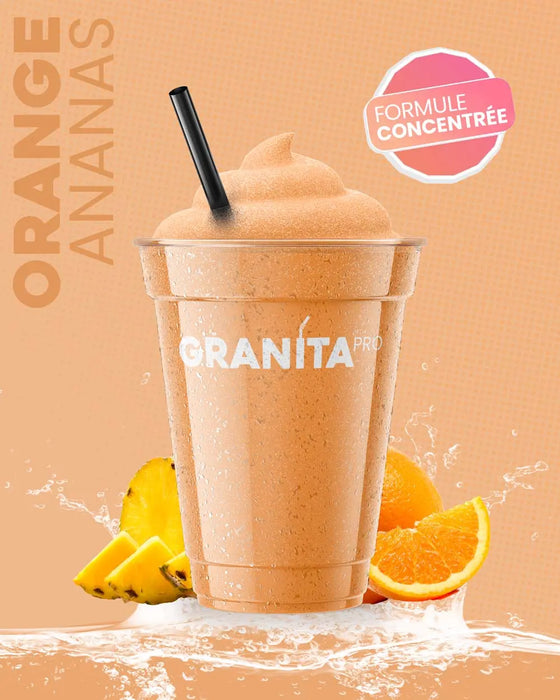 Concentré granita ORANGE ANANAS - Granita Pro - 3×2 L