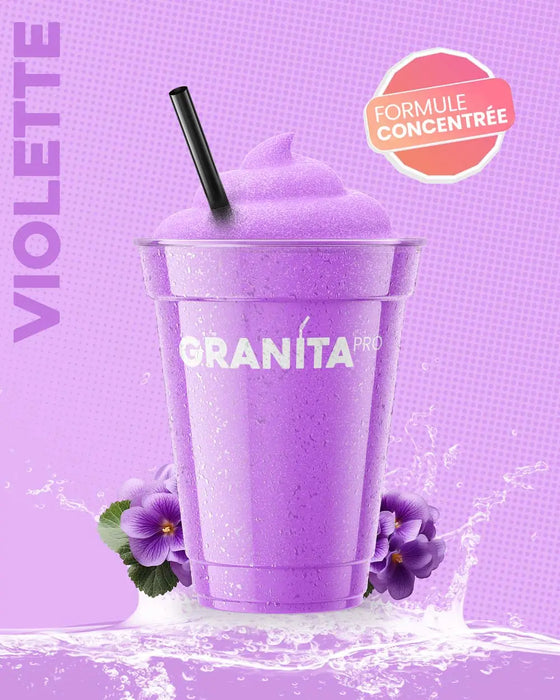 Concentré granita VIOLETTE - Granita Pro - 3×2 L